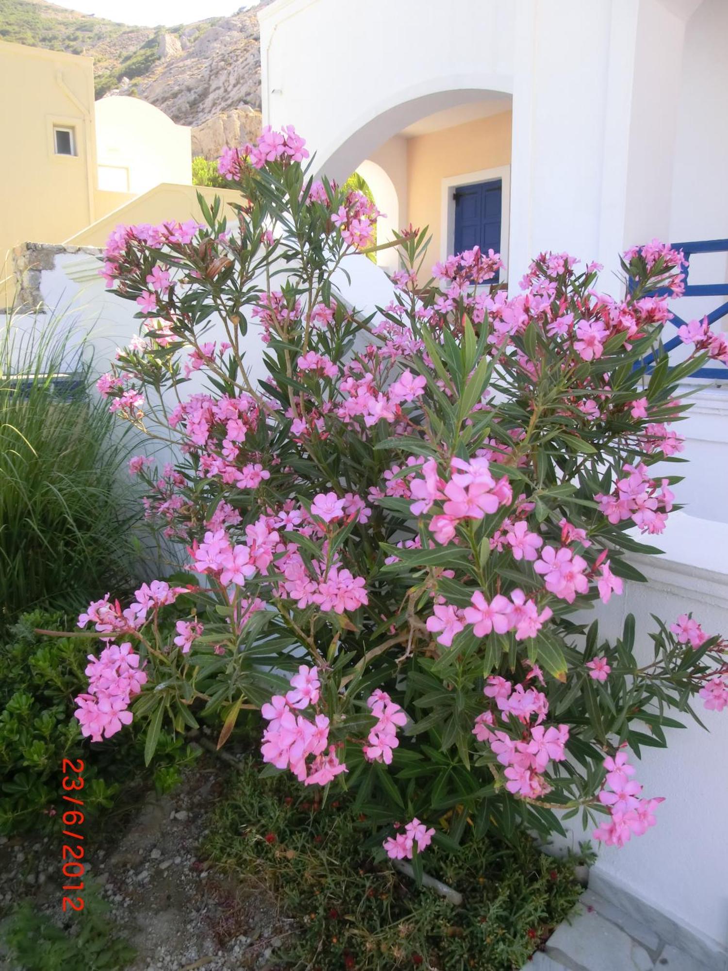 Aparthotel Aegean View Kamári